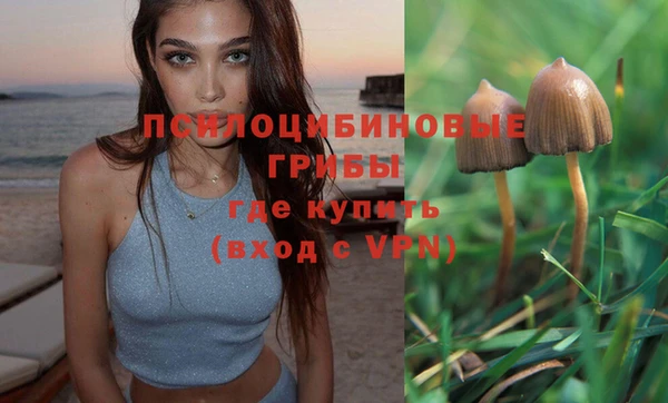 jwh Алзамай